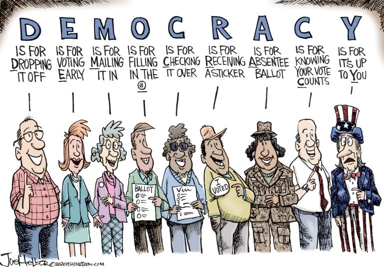 AAUW democracy cartoon La Crosse (WI) Branch